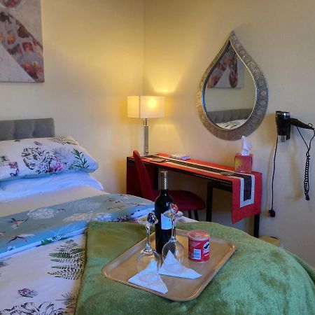 Mountroyal Victorian Studio Self Catering Apartment 3 Belfast Buitenkant foto