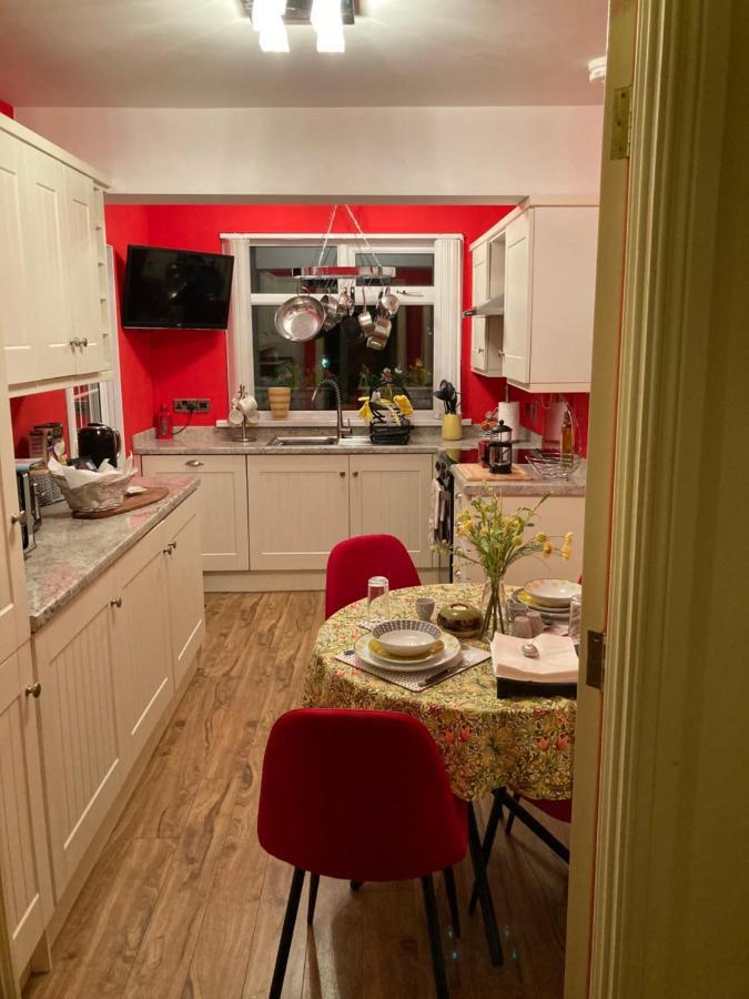 Mountroyal Victorian Studio Self Catering Apartment 3 Belfast Buitenkant foto