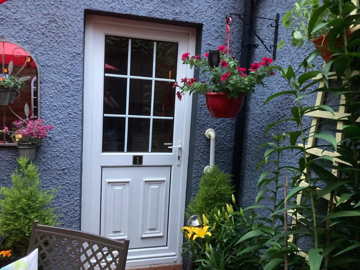Mountroyal Victorian Studio Self Catering Apartment 3 Belfast Buitenkant foto