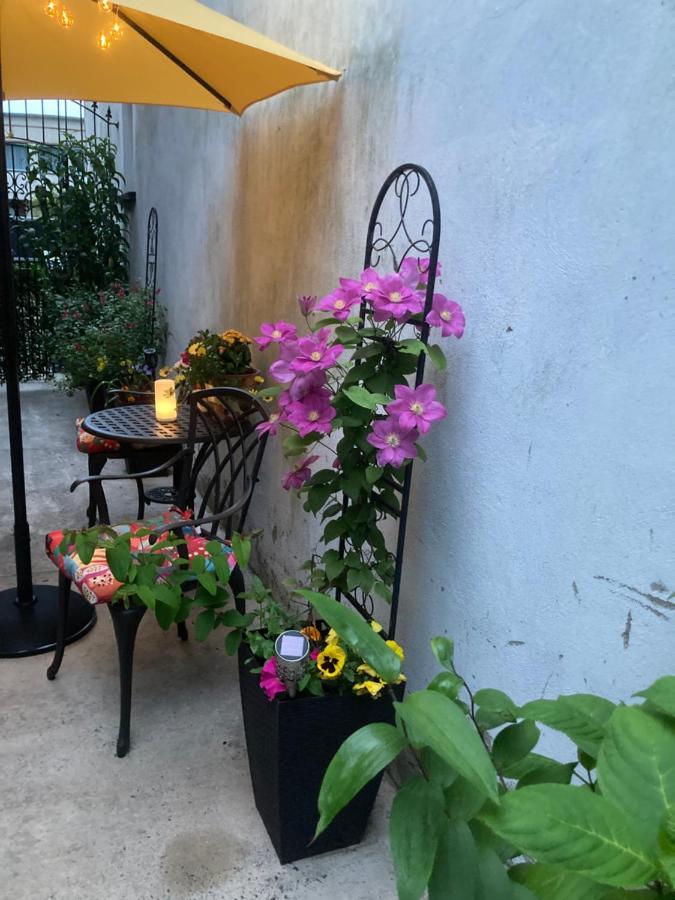 Mountroyal Victorian Studio Self Catering Apartment 3 Belfast Buitenkant foto